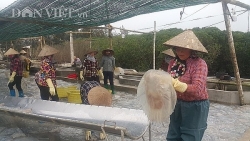 Nam Định: Săn vàng trắng nổi lập ven bờ biển, kiếm chục triệu/ngày