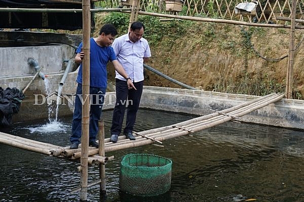 trai ha thanh bo nghe giao vien ben duyen voi ca ten lua