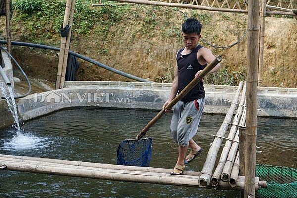 trai ha thanh bo nghe giao vien ben duyen voi ca ten lua