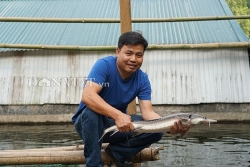 Trai Hà thành bỏ nghề giáo viên, bén duyên với cá... tên lửa