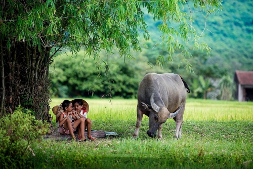 Dạy con những quy tắc giữ an toàn khi về quê nghỉ hè