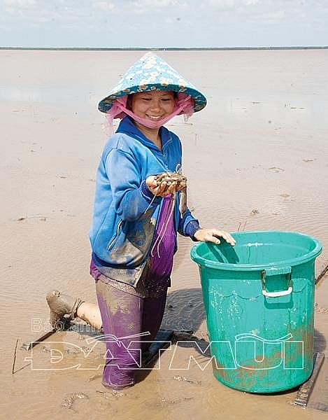 ca mau ve xu bai boi xem dan luot van tom bach tuoc nhu choi