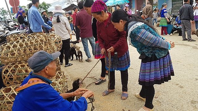 net nguyen so mang dam ban sac dan toc o phien cho lon nhat tay bac