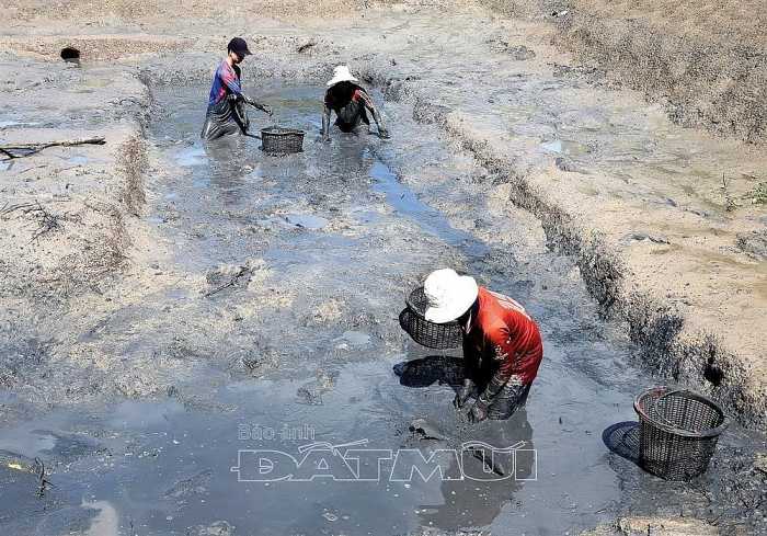 kien tri nuoi loai ca bong khung cu ban 1 con thu nua trieu bac