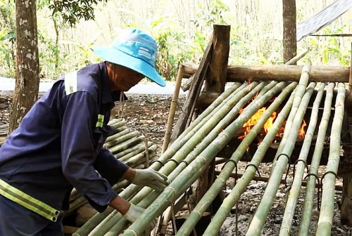 Nghề lạ ở An Giang: Đốt lửa nướng tầm vông ở vùng Bảy Núi