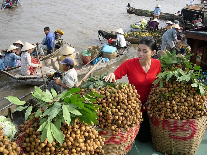 bao tang ran dau tien o viet nam nam tai tinh nao