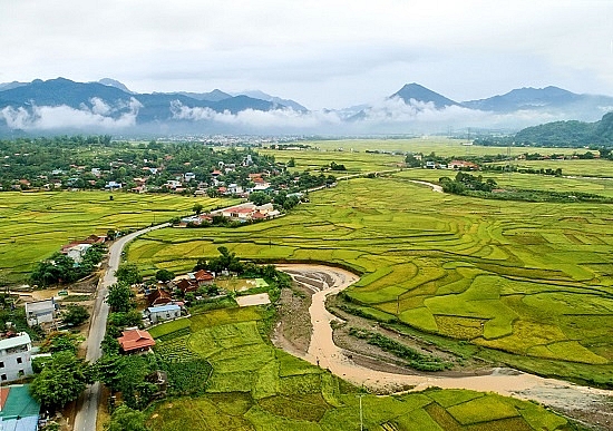 chum anh mua ngoc troi tren tu dai canh dong lon nhat tay bac