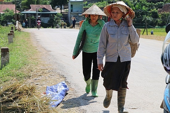 chum anh mua ngoc troi tren tu dai canh dong lon nhat tay bac