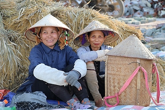 chum anh mua ngoc troi tren tu dai canh dong lon nhat tay bac