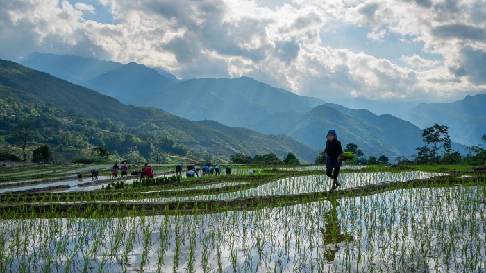 mua nuoc do dep nhu tranh o lao cai