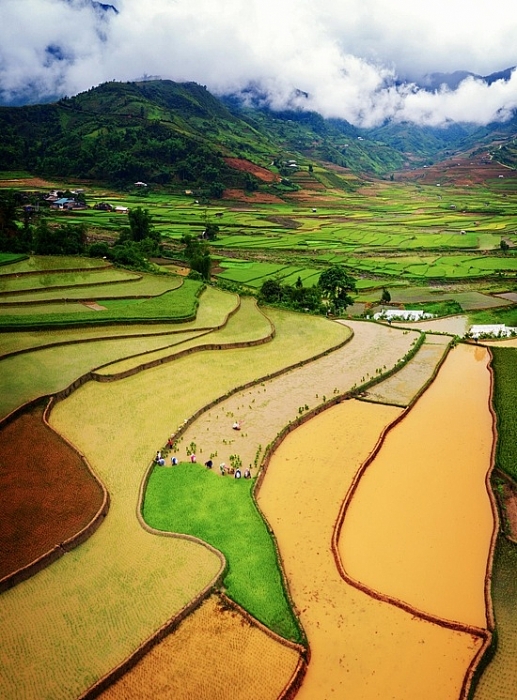 mua nuoc do tren ruong bac thang tu le va mu cang chai