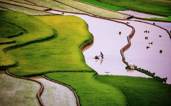 mua nuoc do tren ruong bac thang tu le va mu cang chai