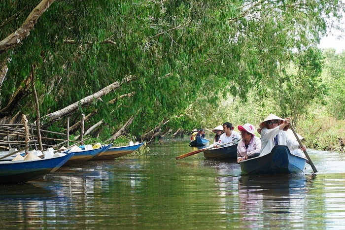 sen no ro giua rung tram lon nhat an giang