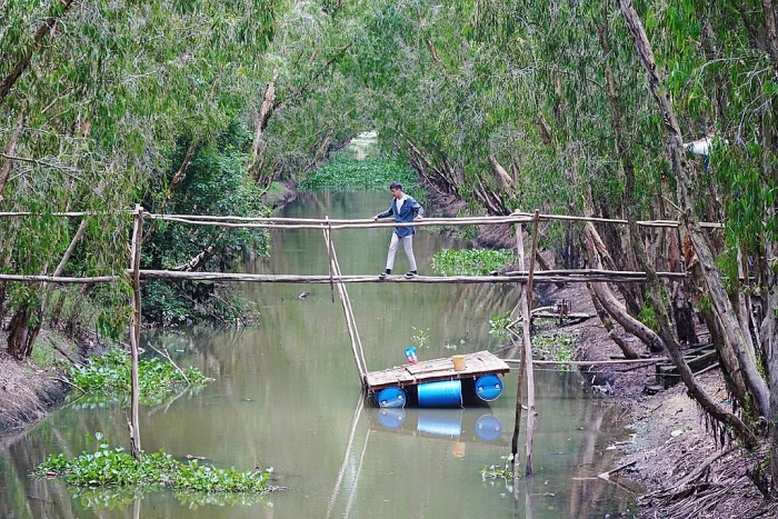 sen no ro giua rung tram lon nhat an giang