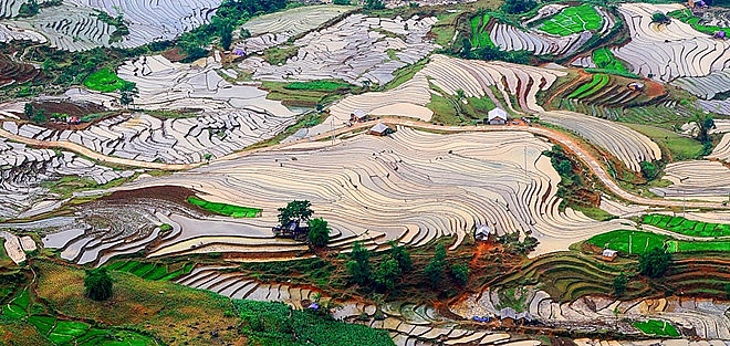 lac buoc giua mua cay tren canh dong ruong bac thang nhu tuyet tac