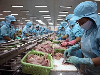 Đến năm 2030, phấn đấu xuất khẩu nông lâm thuỷ sản đạt 62 tỷ USD Đến năm 2030, phấn đấu xuất khẩu nông lâm thuỷ sản đạt 62 tỷ USD