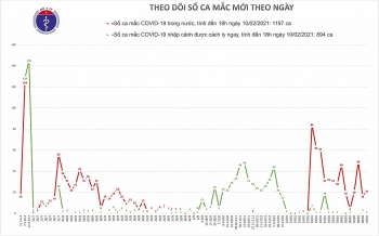 Thông tin COVID-19: Chiều 29 tháng Chạp, thêm 20 ca mắc trong cộng đồng