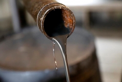 Giá xăng dầu hôm nay 18/6: Giá dầu giảm khi nguồn cung tăng