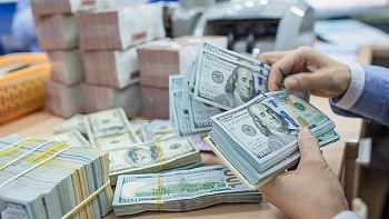 ty gia usd hom nay 285 tang nhe 5 dong