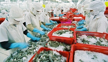 Xuất khẩu vẫn tăng nhưng không được lạc quan vội Xuất khẩu vẫn tăng nhưng không được lạc quan vội