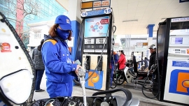 Giá xăng dầu hôm nay (2/11): Dầu thô lao dốc trước cuộc bầu cử