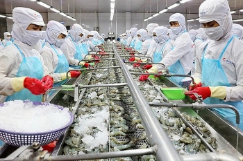 Cảng Trạm Giang, Trung Quốc ngừng nhập khẩu hàng đông lạnh Việt Nam