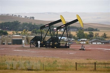 Giá xăng dầu hôm nay (24/9): Dầu WTI chưa thể hồi phục ngưỡng 40 USD/thùng