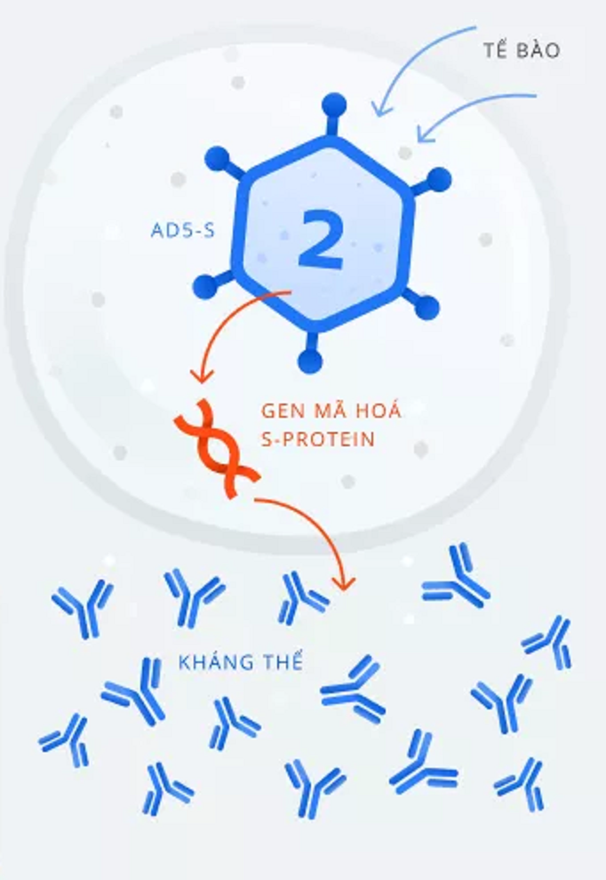 Vaccine COVID-19 Sputnik V của Nga được tiêm theo quy trình như thế nào?