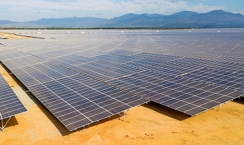 Phát hiện nhiều sai phạm trong dự án điện mặt trời Ninh Thuận