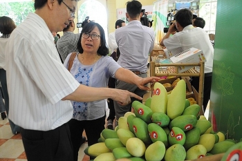 Trung Quốc tạm ngưng nhập khẩu xoài Việt Nam