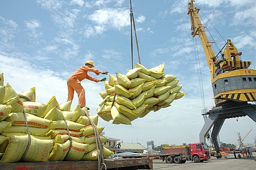 Lô gạo thơm Việt nam đầu tiên xuất khẩu sang EU theo EVFTA