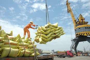 Lô gạo thơm Việt nam đầu tiên xuất khẩu sang EU theo EVFTA