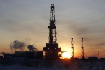 Giá xăng dầu hôm nay (24/11): Dầu Brent vượt ngưỡng 45 USD/thùng