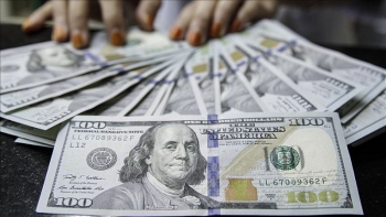 Tỷ giá ngoại tệ hôm nay (12/11): Euro quay đầu lao dốc, USD vẫn 'lặng sóng'