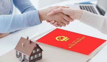 thu tuc chuyen nhuong quyen su dung dat moi nhat nam 2020