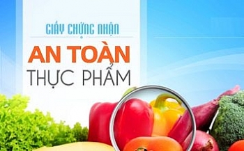 thu tuc xin cap giay chung nhan an toan thuc pham moi nhat nam 2020
