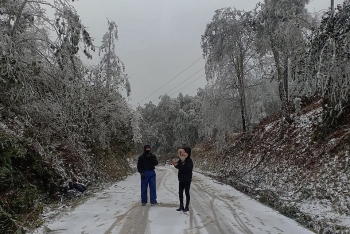 nhiet do bac bo giam sau tu dem mai 161