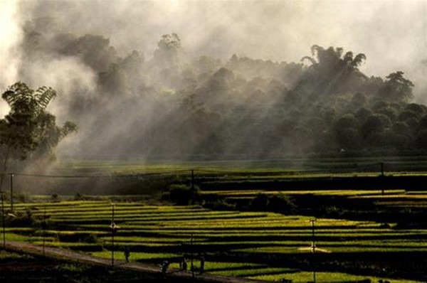 Thời tiết ngày mai 19/1: Bắc Bộ ngày nắng ấm, đêm rét đậm rét hại