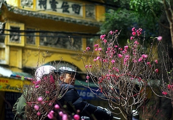 Thời tiết 10 ngày tới (4/2-14/2/2021): Nắng trải dài từ Bắc đến Nam