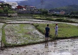 Nguyên nhân thảm án tại Tuần Giáo, Điện Biên: Mâu thuẫn tiền bạc