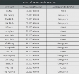 Giá thịt heo hôm nay thứ Ba 23/6/2020: Quay đầu tăng trở lại