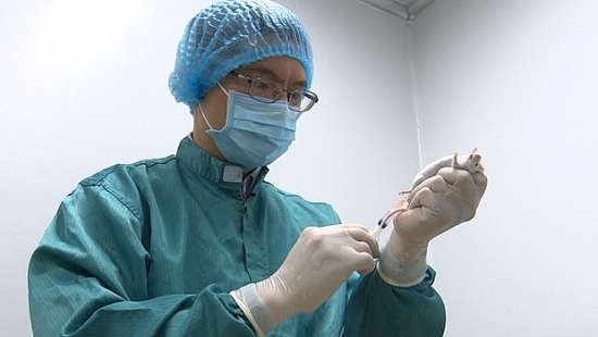 tin tuc covid 19 hom nay viet nam thu nghiem vaccine thanh cong tren chuot