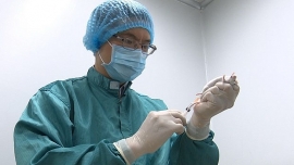 Tin tức Covid-19 hôm nay: Việt Nam thử nghiệm Vaccine thành công trên chuột