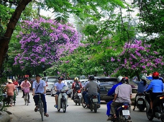 du bao thoi tiet ngay 57 ngay cuoi tuan dep troi mua lon vao sang som