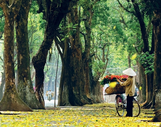 du bao thoi tiet 10 ngay toi 157 257 ket thuc dot nang nong tu ngay 20