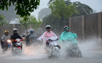 Dự báo thời tiết ngày 1/8: Áp thấp nhiệt đới tăng cường độ, mưa lớn trên cả nước