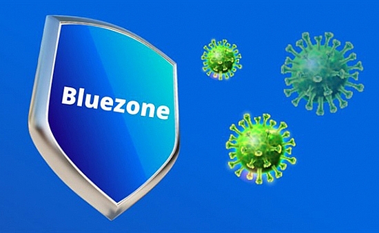 ung dung bluezone la gi ai la tac gia