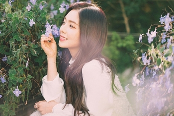 tu vi chiem tinh hom nay 792020 ve cong viec cua 12 con giap mui gap nhieu may man trong kinh doanh