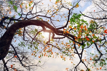 thoi tiet 229 bac bo chuyen mat trung bo co nang gat