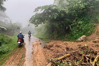 Thời tiết 30/9: Bắc Bộ mưa dông, cảnh báo sạt lở đất ở Gia Lai